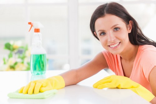 Professional Nags Head carpet cleaners deep cleaning a coastal home carpet