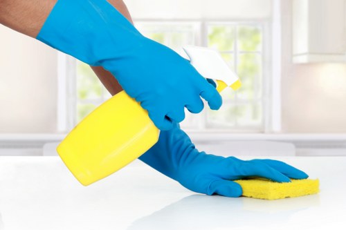 Carpet cleaning equipment and service preparation at a property