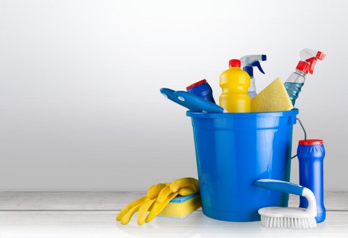 Coastal home carpet stain removal in Nags Head