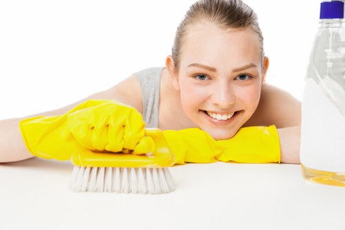 Illustration representing cookie use on a carpet cleaning website