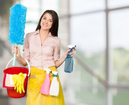 Local carpet cleaner treating a high-traffic living room area