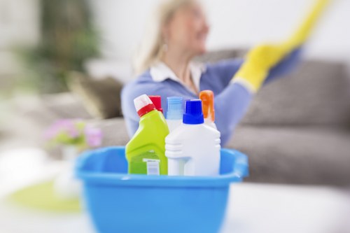 Professional pet stain odour removal in Nags Head for rugs and upholstery
