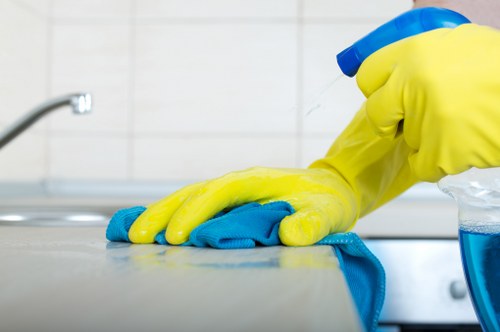 Deep cleaning methods for pet odour removal in coastal homes
