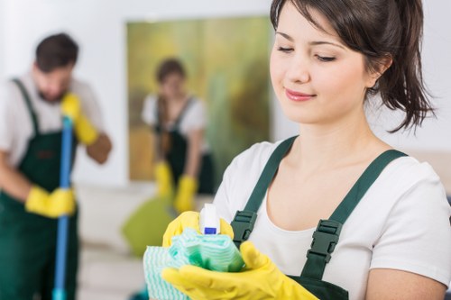 Accessibility request information for Nags Head Carpet Cleaners website