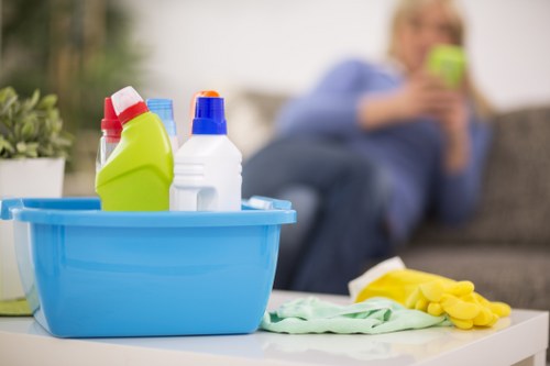 Professional cleaning for upholstery stains in Nags Head